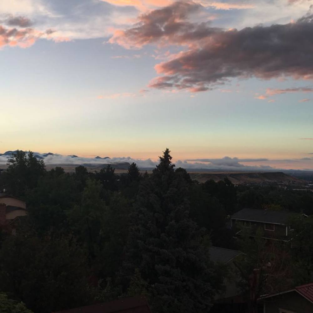 Meet your Posher, Morgan